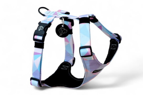 Full body harness for Candy Blue dog