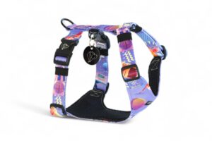 COMFORT pressure-free harness | Boombox