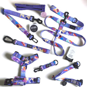 Car belt | Boombox