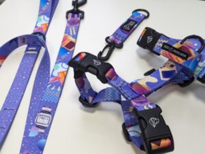Boombox M walking set for a medium dog: harness, leash, keychain