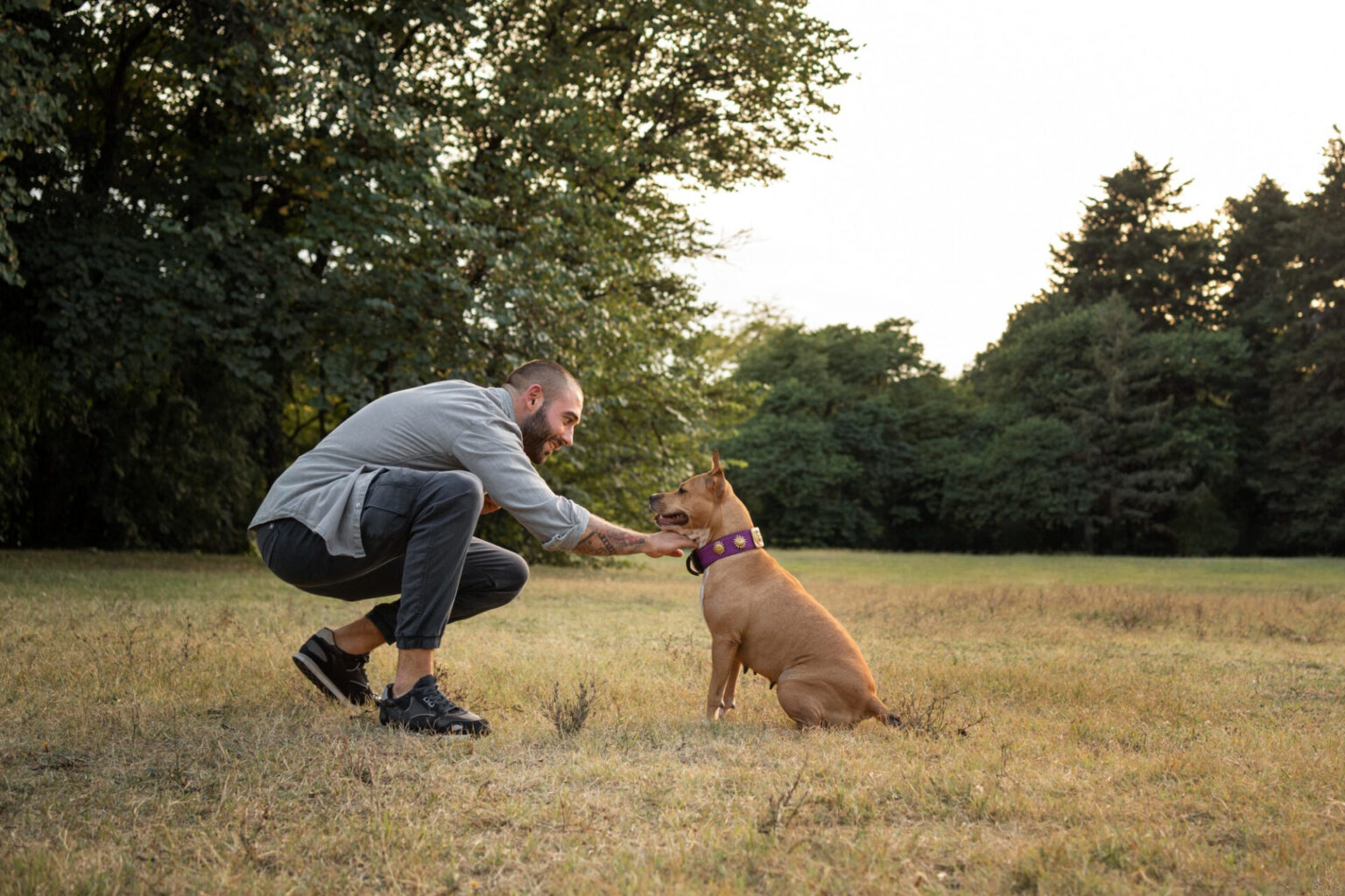How to teach a dog 'not allowed'? Learning commands from scratch