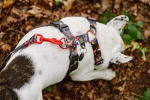 material harnesses pressure-free comfortable with print underwood guard harnesses
