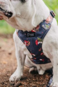 comfortable, pressure-free material suspenders with underwood print