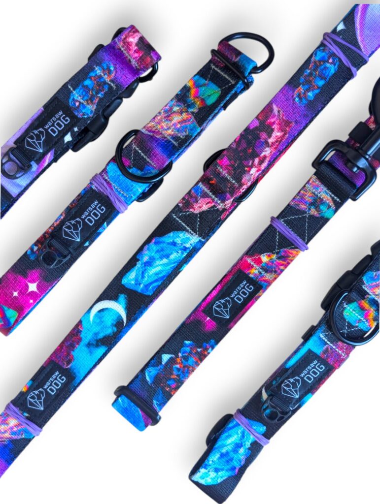 polski producent szelek smyczy obrozy dla psa warsaw dog poznan szczecin gdansk