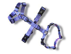 post-adoption harness for a dog for New Year's Eve trip travel vacation safe harness for a dog three rings