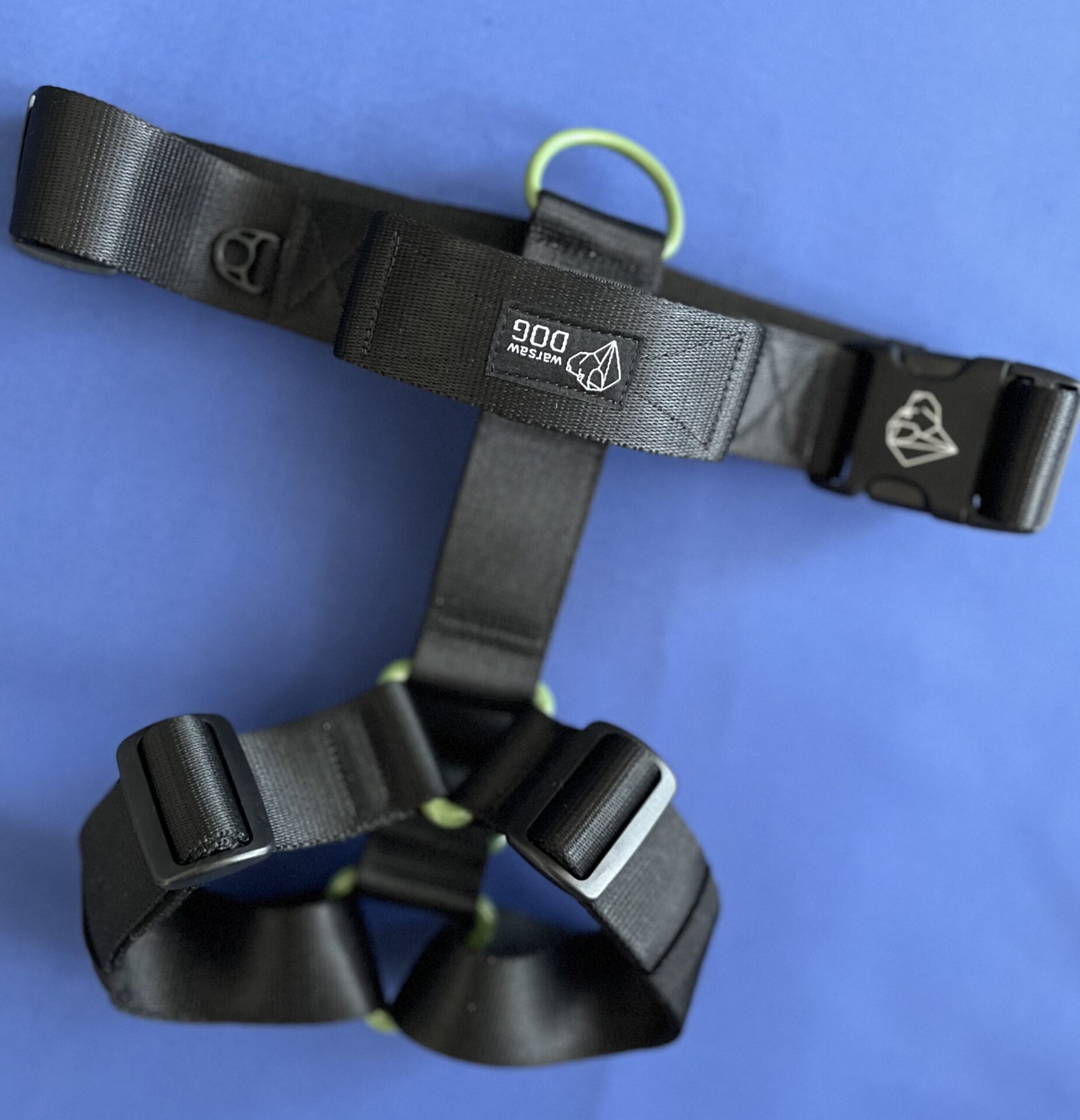 szelki z kolorowymi okuciami dla duzego psa szelki z kolorowymi okuciami dla duzego psa