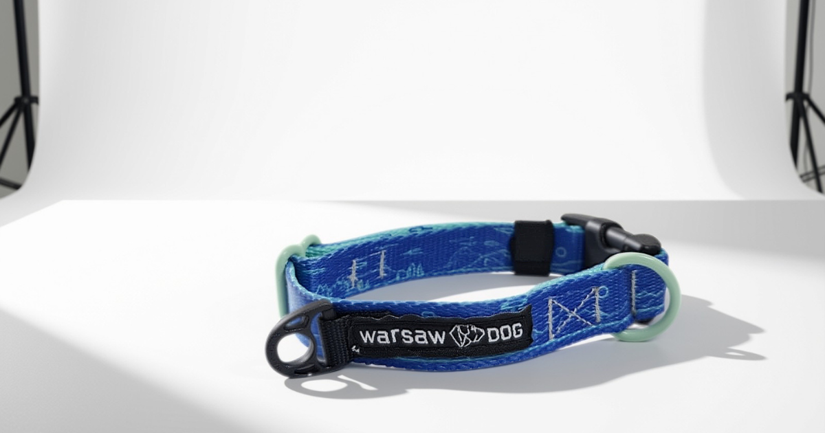a_ niebieska obróżka polska produkcja handmade marka akcesoria dla psa a_ niebieska obróżka polska produkcja handmade marka akcesoria dla psa