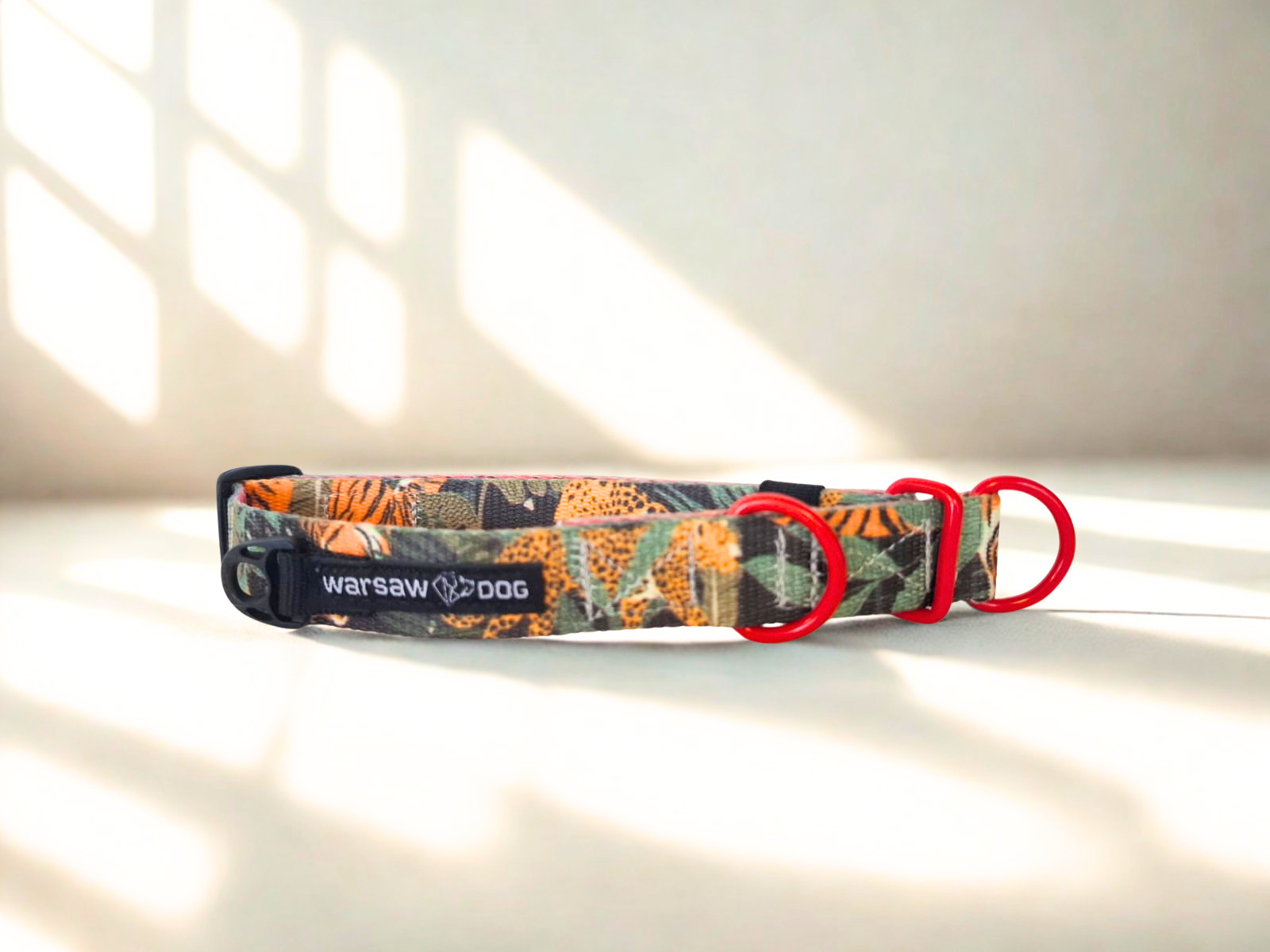 half-choke collar colorful wild cats with colorful fittings half-choke collar colorful wild cats with colorful fittings