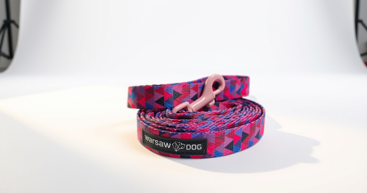 smycz prosta różowa kolorowe okucia pudrowy róż shine in purple wąska dla małego pieska smycz prosta różowa kolorowe okucia pudrowy róż shine in purple wąska dla małego pieska